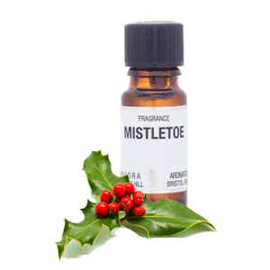 Mistletoe Fragrance 10ml